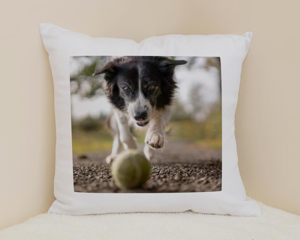 Photo cushion