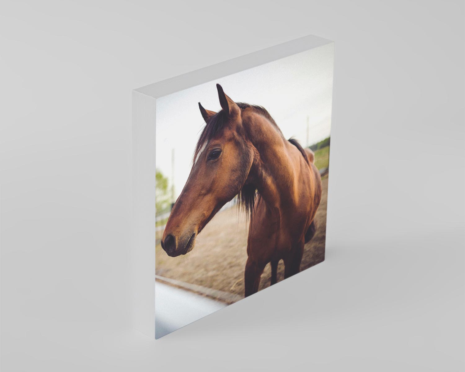 Square white edge photo block